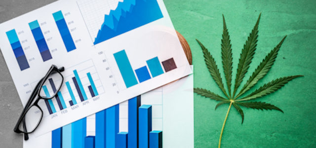 2 Marijuana Stocks To Watch Before September Officially Begins