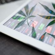 3 Best Canadian Marijuana Stocks For Your Watchlist In 2021