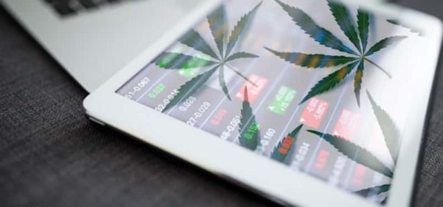 3 Best Canadian Marijuana Stocks For Your Watchlist In 2021