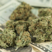 3 Marijuana Stocks You Should Know About In August