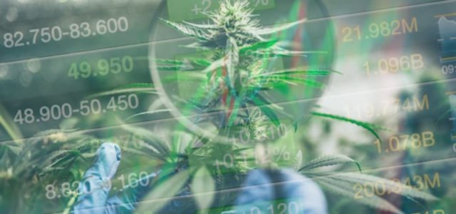 3 Top Cannabis Stocks To Watch Mid August