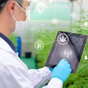Agrify Corp: Overlooked, Newly Listed Pot Stock Reports Record Q2 Results