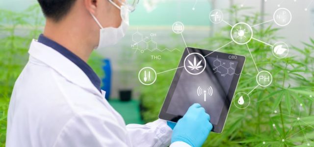 Agrify Corp: Overlooked, Newly Listed Pot Stock Reports Record Q2 Results