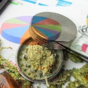 Are Canadian Marijuana Stocks A Buy Right Now? 2 To Watch While Pot Stocks Are Up Today