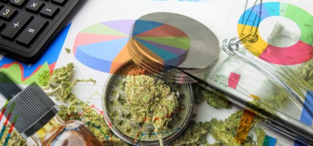 Are Canadian Marijuana Stocks A Buy Right Now? 2 To Watch While Pot Stocks Are Up Today