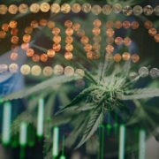 Best Cannabis Stocks To Buy On The Nasdaq? 2 Being Watched By Robinhood And Reddit Investors