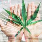 Best Cannabis Stocks To Buy Right Now? 2 That Analysts Are Predicting Could Have Triple Digit Gains