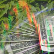 Best Marijuana Penny Stocks To Buy? 2 For Your Watchlist This Week