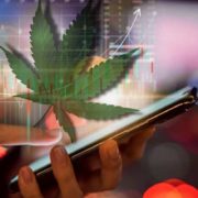 Best Marijuana Stocks To Buy In 2021? Analysts Predict These Could Have Over 100% Upside