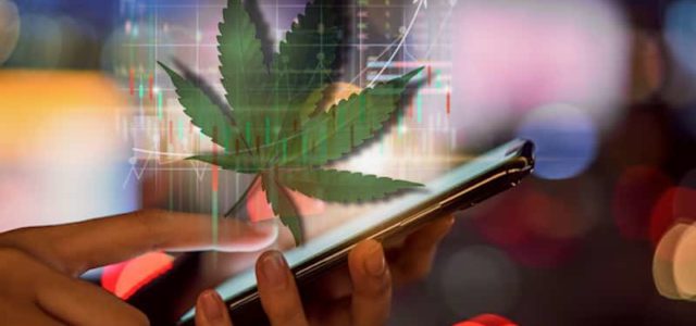 Best Marijuana Stocks To Buy In 2021? Analysts Predict These Could Have Over 100% Upside