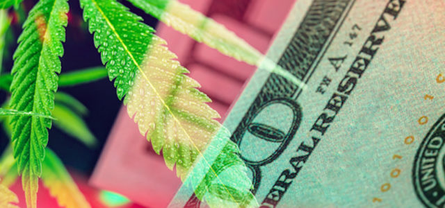 Best Marijuana Stocks To Buy In August? 2 To Watch Right Now For Your List Next Week