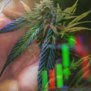 Best Marijuana Stocks To Buy Right Now? 2 Canadian Pot Stocks For Your List In September