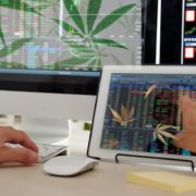 Best Marijuana Stocks To Buy Right Now? These Could Make The Watchlist Today