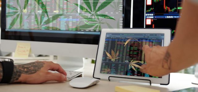 Best Marijuana Stocks To Buy Right Now? These Could Make The Watchlist Today