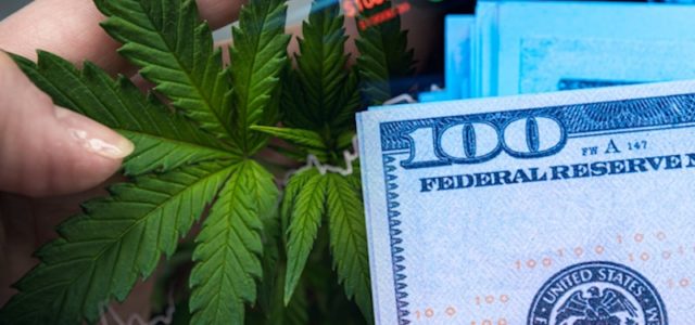 Best Marijuana Stocks To Buy This Week? 2 Delivering Strong Earnings In 2021