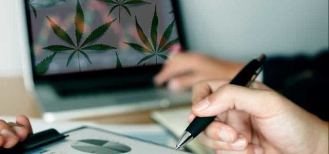Best Marijuana Stocks To Watch Next Week? 4 Reporting Earnings For Your List In August