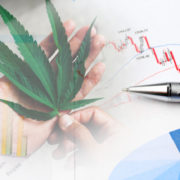 Best Medical Marijuana Stocks To Buy In 2021? 2 Possible Long Term Investments Right Now