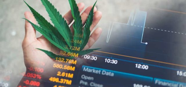 Best US Marijuana Stocks To Buy During This Dip? 2 Predicted To See Triple Digit Gains By Analysts