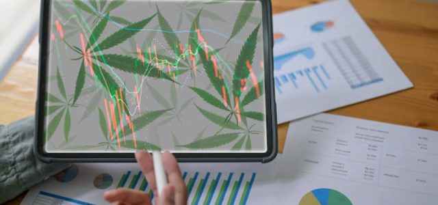 Here’s Why These 2 Marijuana Stocks Should Be On Your August Watchlist