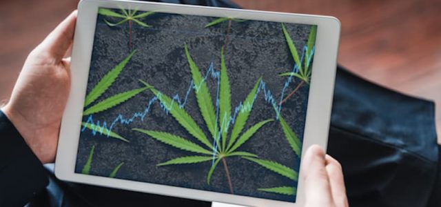 Here’s Why These Marijuana Stocks May Reach A Higher Market Level In 2021