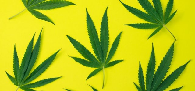 Is the Marijuana Market Building Toward a Major Rally?