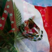 Mexico’s Adult Use Cannabis Market Is Facing More Hold Ups