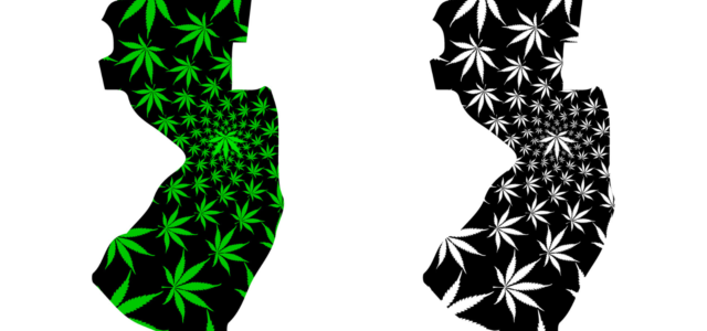 New Jersey Cannabis: Initial Rules for Adult Use Program – Part 1