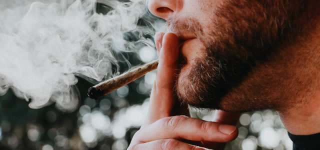 Poll: Nearly Half of U.S. Adults Have Tried Cannabis