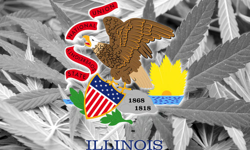 Some Illinois pot license winners now looking to sell to highest bidder