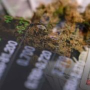 The Future Of These Marijuana Stocks Looks Promising Here’s Why