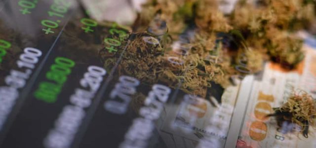 The Future Of These Marijuana Stocks Looks Promising Here’s Why