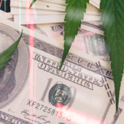 These 3 Marijuana Stocks Could Be The Winners You Need In A Down Market