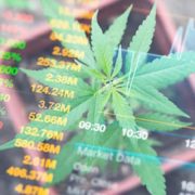 These Marijuana Stocks Are Currently Shocking Some Investors