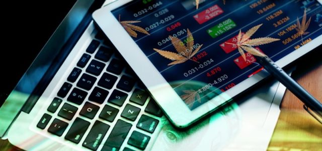 Top Canadian Marijuana Stocks To Watch On Robinhood In August