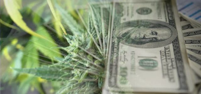 Top Marijuana Penny Stocks For Your List In August