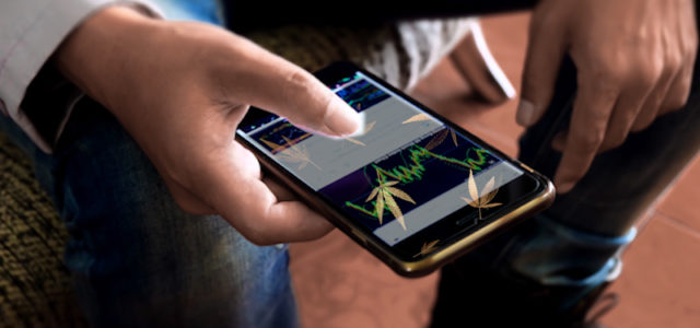 Top Marijuana Stocks To Buy For The Long Term? 2 On The NYSE For Your List This Week