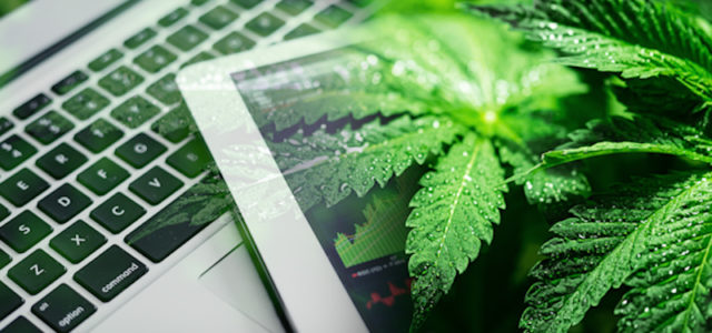 Top Marijuana Stocks To Buy In August? 3 That Could Deliver Strong Cannabis Earnings
