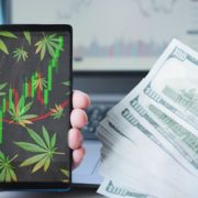 Top Marijuana Stocks To Buy Long Term On Robinhood? 2 That Analysts Predict Could Have Gains