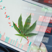 Top Marijuana Stocks To Watch For Next Week’s List