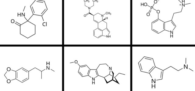 Which Psychedelic Drug Has The Most Commercial Potential?