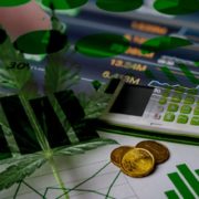 Will Earnings Help These Marijuana Stocks Recover In 2021