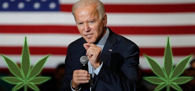 Will Joe Biden Grant Clemency For People With Past Federal Drug Convictions?