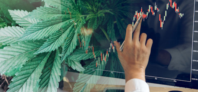 Will Marijuana Stocks Go Up Again? 2 Top Penny Stocks To Watch Analysts Are Forecasting Upside
