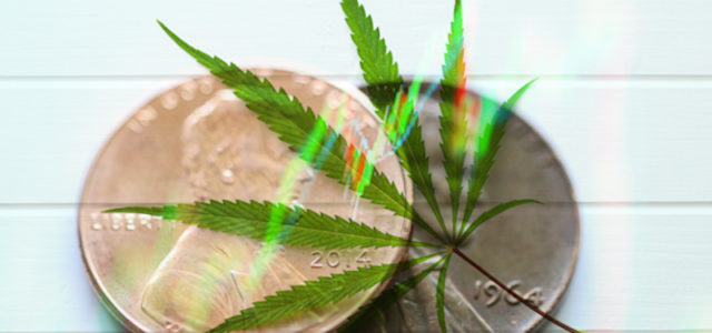 Will These Marijuana Stocks Start To Rise Come September?