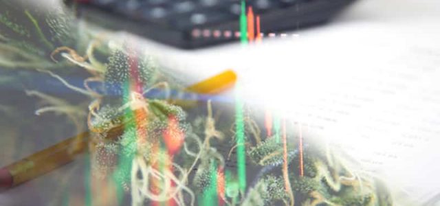 2 Canadian Marijuana Stocks To Watch Right Now In 2021