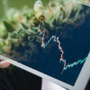 2 Marijuana Penny Stocks You Need To Know About In 2021