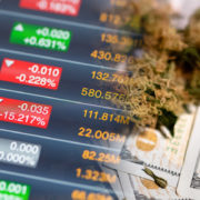 2 Marijuana Stocks To Add To Your September Investment Portfolio