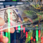 2 Top Marijuana Penny Stocks Investors Are Watching Right Now