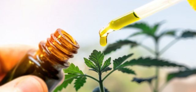 Are Marijuana Stocks That Focus on CBD Future Winners or Will They Wreck a Portfolio?