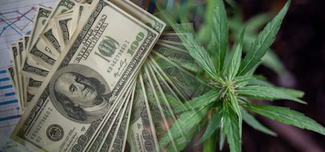 Are These 2 Top Cannabis Stocks On Your List For September? 2 To Watch For Your Long Term Portfolio